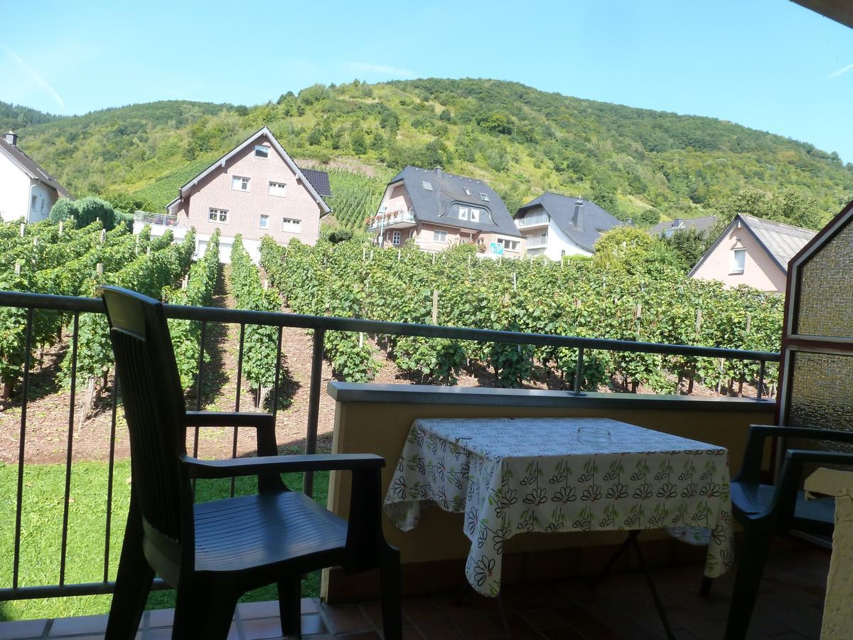 Wein- Und Gaestehaus St. Aldegundishof Sankt Aldegund Esterno foto